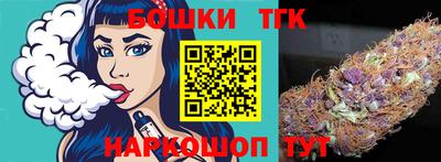 индика Кинель