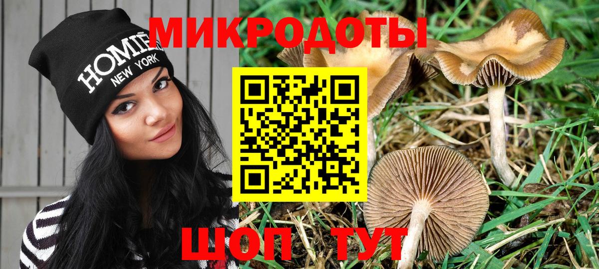 Галлюциногенные грибы MAGIC MUSHROOMS Черногорск
